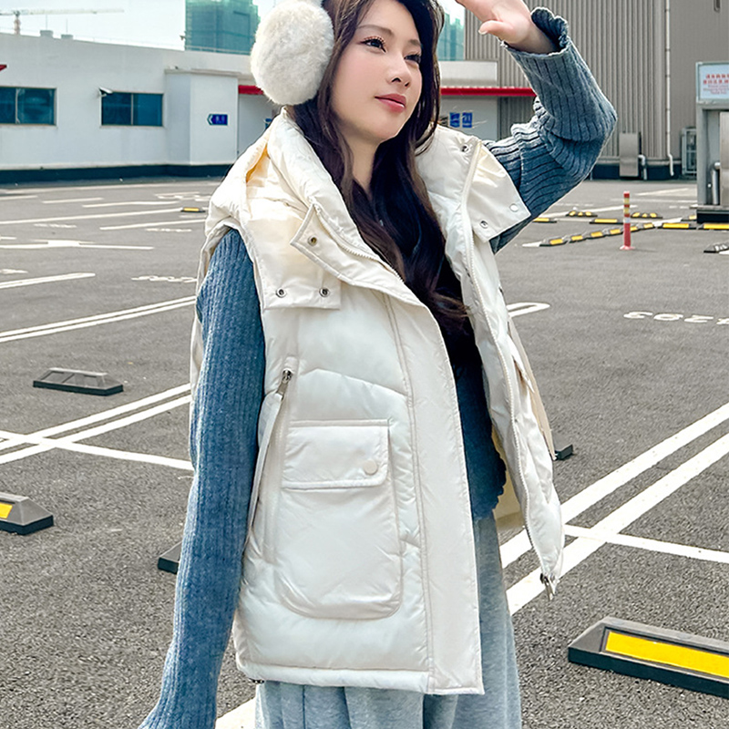 2025 Grote Zak Los Vest Met Ca - Puffer Vest Fashion Women recensie en prijs