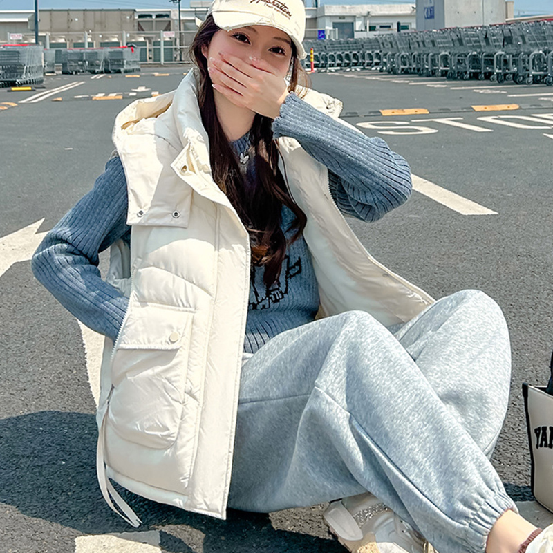 2025 Grote Zak Los Vest Met Ca - Puffer Vest Fashion Women recensie en prijs
